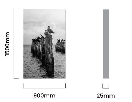 cielo_gulls_canvas_dimensions